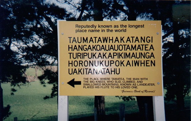 Đọc tên ngọn đồi Taumatawhakatangi­hangakoauauotamatea­turipukakapikimaunga­horonukupokaiwhen­uakitanatahu thôi cũng đủ méo mồm - Ảnh 2.
