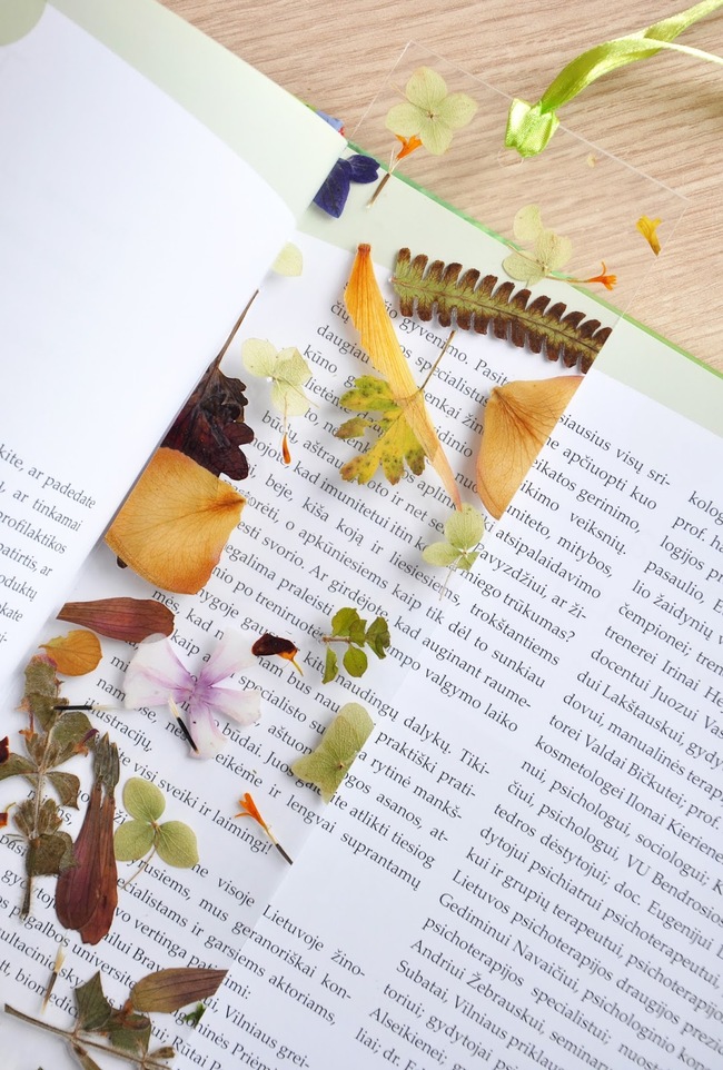 Ai hay đọc sách thì đừng bỏ qua mẫu bookmark cực đẹp từ hoa khô này - Ảnh 11.