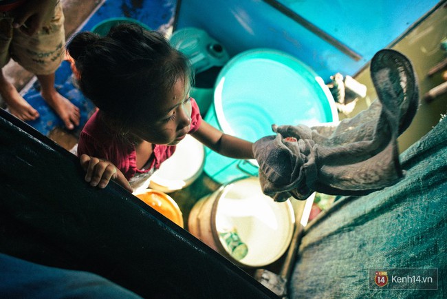 Gia đ&igrave;nh sống l&ecirc;nh đ&ecirc;nh tr&ecirc;n s&ocirc;ng hơn 20 năm - S&agrave;i G&ograve;n c&oacute; những g&oacute;c khuất trần trụi như thế! - Ảnh 11.