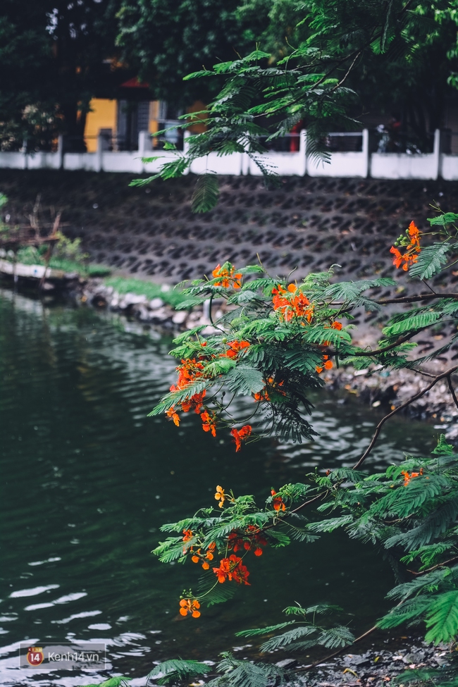 Ơn giời H&agrave; Nội mưa v&agrave; m&aacute;t rồi! ch&iacute;nh l&agrave; t&acirc;m trạng của người d&acirc;n H&agrave; Nội h&ocirc;m nay! - Ảnh 12.