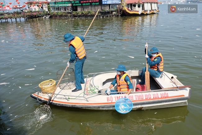 Cuộc sống của hàng nghìn người ven hồ Tây bị đảo lộn, hàng quán đóng cửa vì cá chết - Ảnh 7.