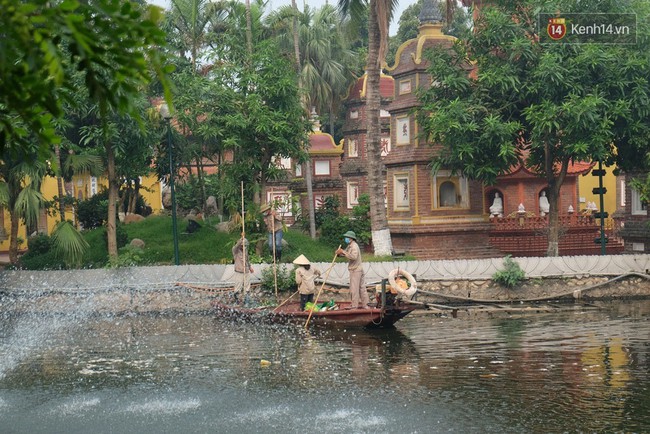 Quanh hồ T&acirc;y đ&atilde; giảm m&ugrave;i h&ocirc;i thối nồng nặc, c&aacute; chết vẫn đang tiếp tục được thu dọn - Ảnh 4.