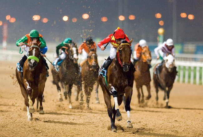 C&aacute;c si&ecirc;u đ&ocirc; thị d&ugrave; c&oacute; phồn hoa cỡ n&agrave;o cũng kh&ocirc;ng địch lại được 13 thứ chỉ c&oacute; ở Dubai - Ảnh 10.