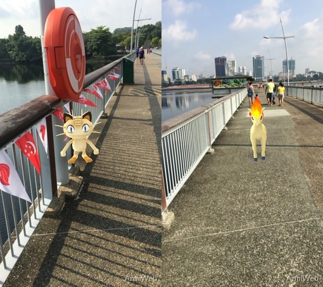 Đi săn Pokemon, chàng trai Singapore bàng hoàng phát hiện xác chết dưới hồ - Ảnh 1.