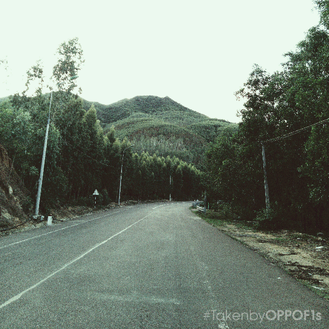 Văn h&oacute;a c&aacute;c địa phương Việt Nam thật đẹp qua g&oacute;c nh&igrave;n của những người trẻ đam m&ecirc; du lịch! - Ảnh 32.