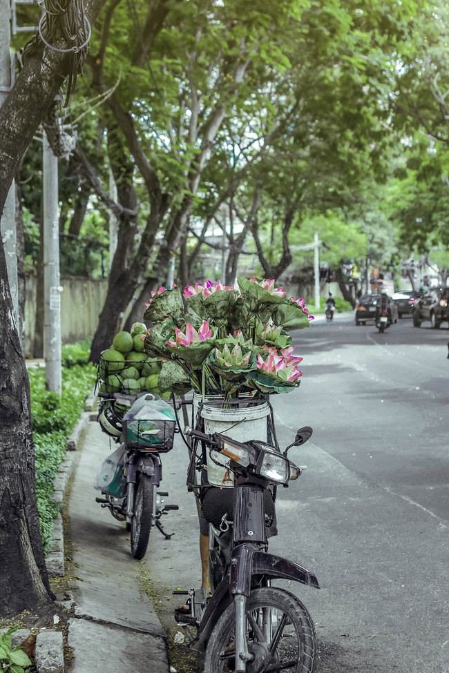 C&oacute; một S&agrave;i G&ograve;n xinh xắn, b&igrave;nh y&ecirc;n như thế qua ống k&iacute;nh Instagram của 4 bạn trẻ - Ảnh 7.