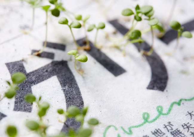 Nhật Bản: Lần đầu tiên trên thế giới một tờ báo có thể trồng ra hoa sau khi đã đọc xong - Ảnh 4.