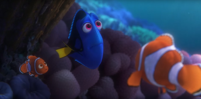 6 b&agrave;i học về cuộc sống m&agrave; Finding Dory mang lại cho kh&aacute;n giả - Ảnh 2.