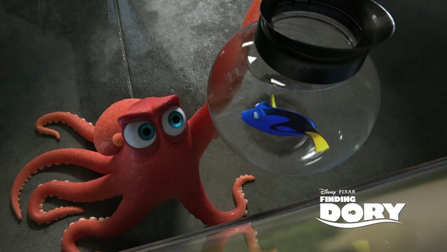 6 b&agrave;i học về cuộc sống m&agrave; Finding Dory mang lại cho kh&aacute;n giả - Ảnh 3.