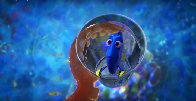 6 b&agrave;i học về cuộc sống m&agrave; Finding Dory mang lại cho kh&aacute;n giả - Ảnh 5.