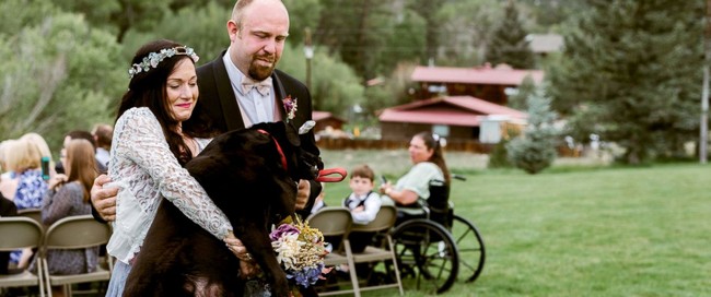 Gắng gượng sống đến ngày cô chủ làm lễ kết hôn, chú chó khiến ai cũng phải rơi nước mắt - Ảnh 5.