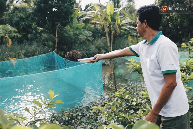 Người đàn ông ở Cần Thơ có tài điều khiển 20.000 con cá lóc đồng loạt bay lên khỏi mặt nước - Ảnh 7.