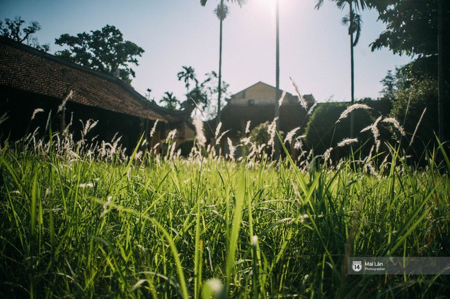 Đông Ngạc - Ngôi làng cổ trong lòng phố Hà Nội nhất định phải ghé một lần! - Ảnh 4.