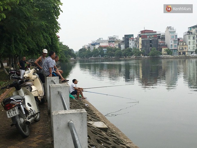 Quanh hồ Tây đã giảm mùi hôi thối nồng nặc, cá chết vẫn đang tiếp tục được thu dọn - Ảnh 23.