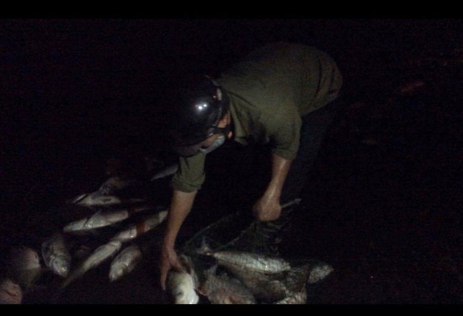 Kiểm tra, xác minh nhóm người vớt cá chết ở hồ Linh Đàm trong đêm - Ảnh 5.