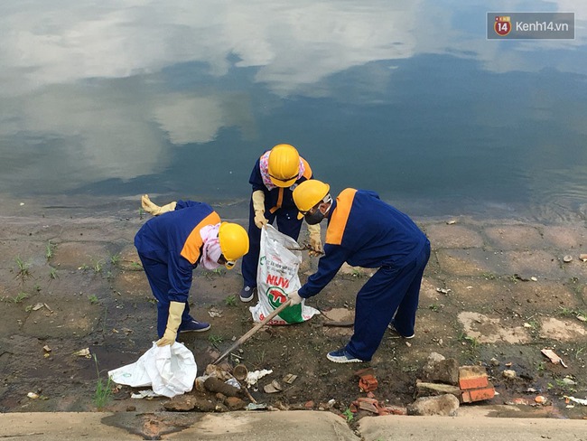 Kiểm tra, xác minh nhóm người vớt cá chết ở hồ Linh Đàm trong đêm - Ảnh 7.