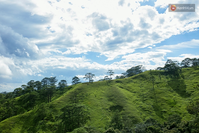 Trekking và cắm trại ở đồi Tà Năng: Đi để thấy mình còn trẻ và còn nhiều nơi phải chinh phục! - Ảnh 8.