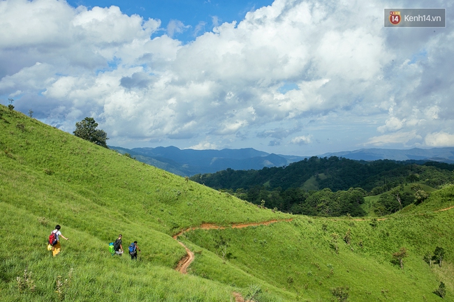 Trekking và cắm trại ở đồi Tà Năng: Đi để thấy mình còn trẻ và còn nhiều nơi phải chinh phục! - Ảnh 11.