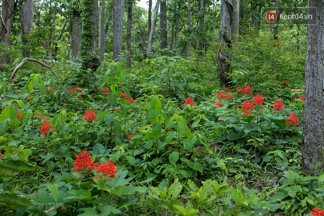 Trekking và cắm trại ở đồi Tà Năng: Đi để thấy mình còn trẻ và còn nhiều nơi phải chinh phục! - Ảnh 21.