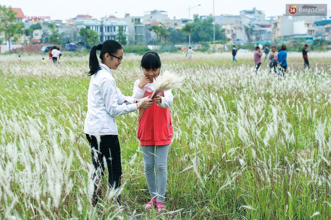 Dịp cuối tuần, người dân háo hức chụp ảnh với hoa cỏ lau giữa lòng Hà Nội - Ảnh 4.