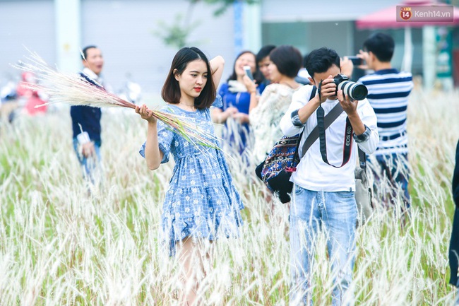 Dịp cuối tuần, người dân háo hức chụp ảnh với hoa cỏ lau giữa lòng Hà Nội - Ảnh 5.