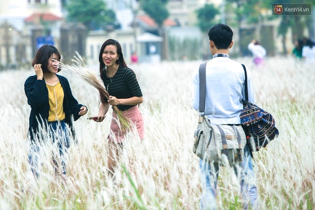 Dịp cuối tuần, người dân háo hức chụp ảnh với hoa cỏ lau giữa lòng Hà Nội - Ảnh 6.