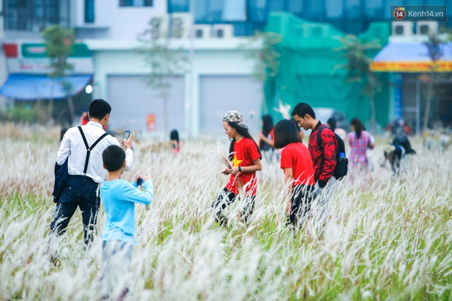 Dịp cuối tuần, người dân háo hức chụp ảnh với hoa cỏ lau giữa lòng Hà Nội - Ảnh 8.