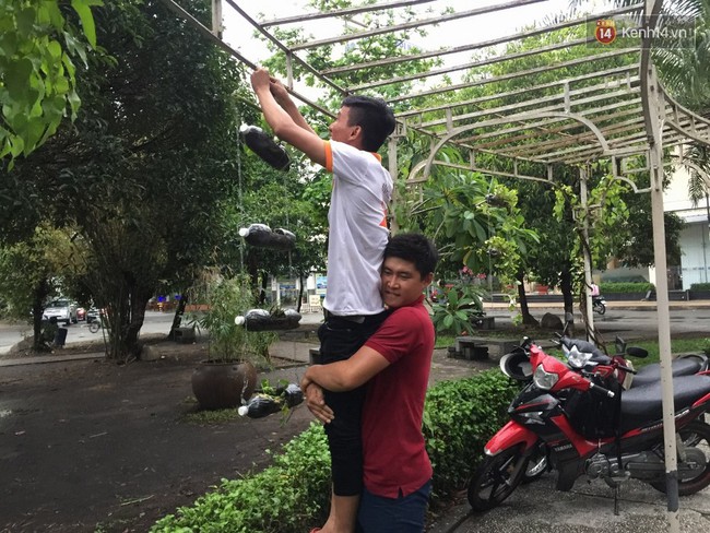 Nh&oacute;m bạn trẻ S&agrave;i G&ograve;n biến c&ocirc;ng vi&ecirc;n ngập r&aacute;c th&agrave;nh vườn c&acirc;y xinh xắn - Ảnh 7.