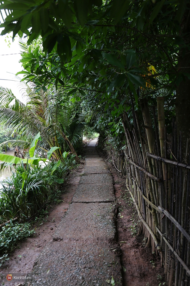 Gia cảnh nhà Tùng Sơn: Ở nhà đất, lợp mái lá, vẫn cố cho con 50 nghìn lên Sài Gòn - Ảnh 3.