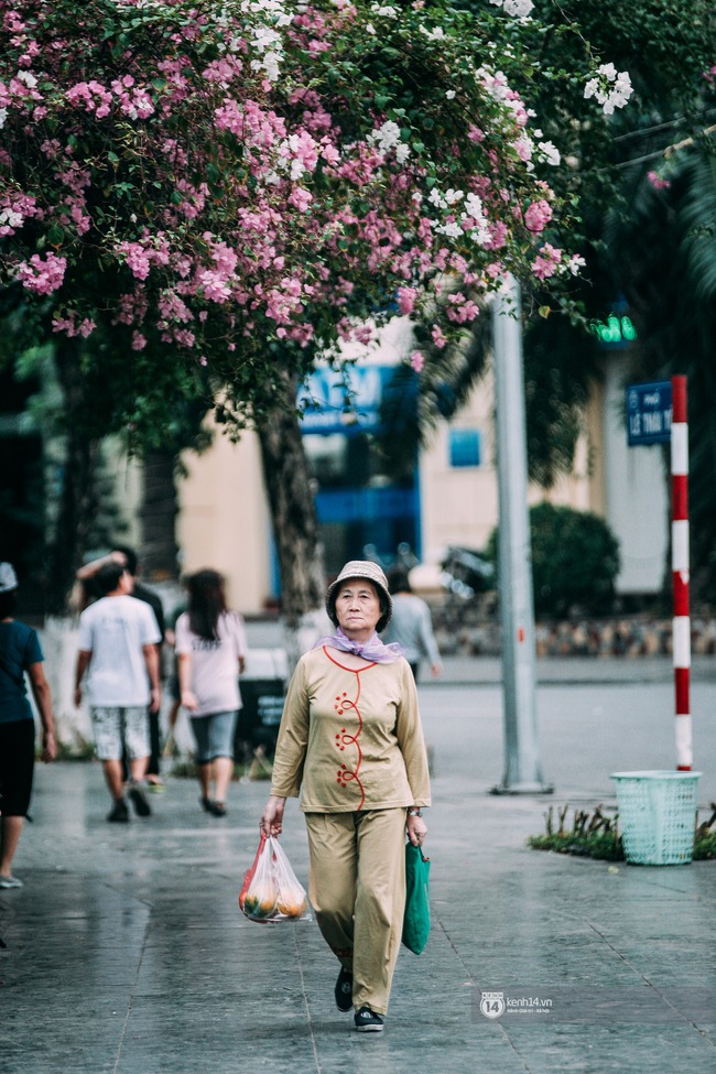 Hà Nội đẹp và yên bình quá trong một sáng ai cũng hân hoan: A, lạnh rồi! - Ảnh 18.