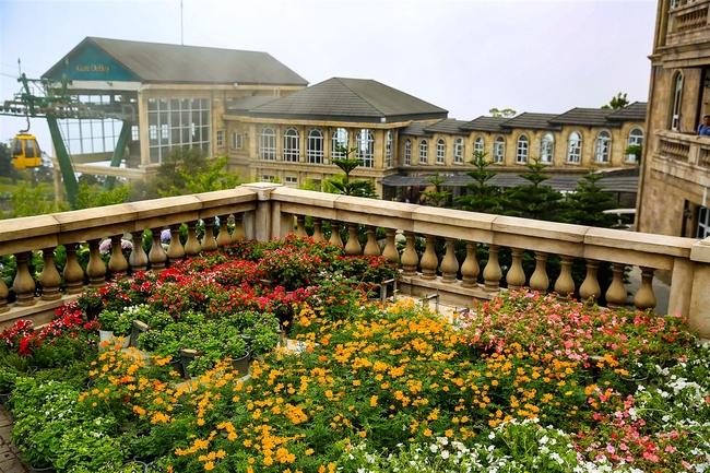 Kỳ nghỉ lễ n&agrave;y, h&atilde;y đến check in tại thi&ecirc;n đường hoa B&agrave; N&agrave; Hills - Ảnh 2.