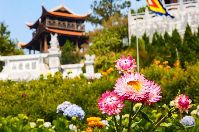 Kỳ nghỉ lễ n&agrave;y, h&atilde;y đến check in tại thi&ecirc;n đường hoa B&agrave; N&agrave; Hills - Ảnh 6.