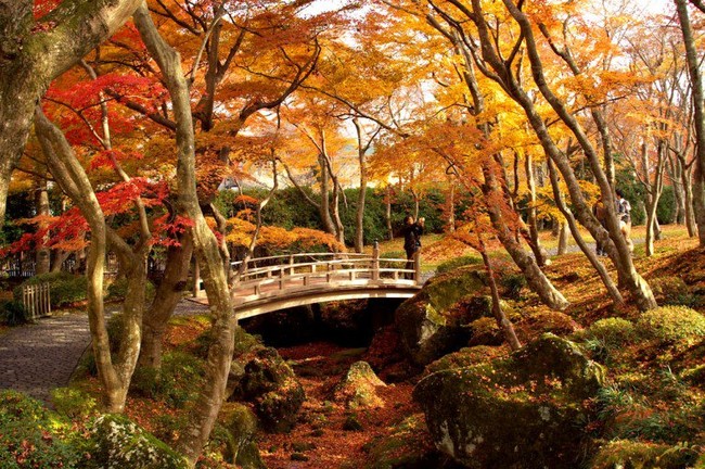 Ngắm nhìn Nhật Bản trầm mặc mà vẫn đẹp đến nao lòng mỗi độ thu sang - Ảnh 11.