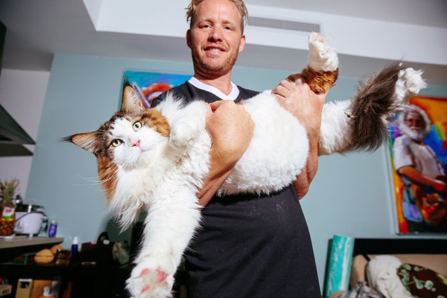 Mèo ú 13kg mặt lúc nào cũng như hờn cả thế giới - Ảnh 1.
