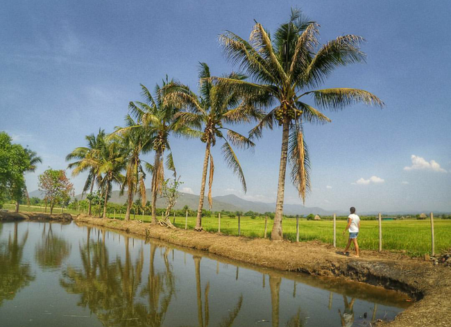 6 lý do để Chiang Mai trở thành điểm đến hot nhất hè này của các bạn trẻ Việt - Ảnh 23.