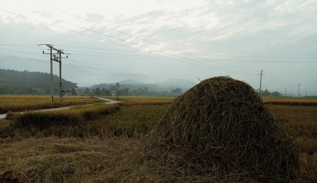 Văn hóa các địa phương Việt Nam thật đẹp qua góc nhìn của những người trẻ đam mê du lịch! - Ảnh 35.