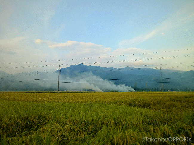 Văn h&oacute;a c&aacute;c địa phương Việt Nam thật đẹp qua g&oacute;c nh&igrave;n của những người trẻ đam m&ecirc; du lịch! - Ảnh 36.