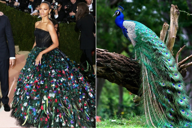 22 hình ảnh cho thấy Met Gala 2016 cũng chỉ như một trò đùa... - Ảnh 13.