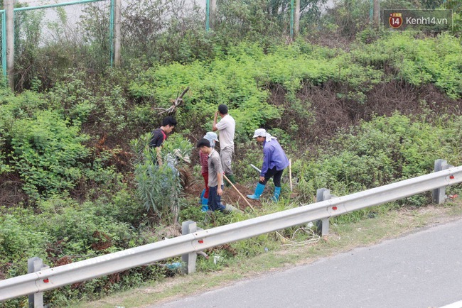 53 tỷ đồng tiền cắt cỏ 24km trên đại lộ Thăng Long được chi như thế nào? - Ảnh 6.