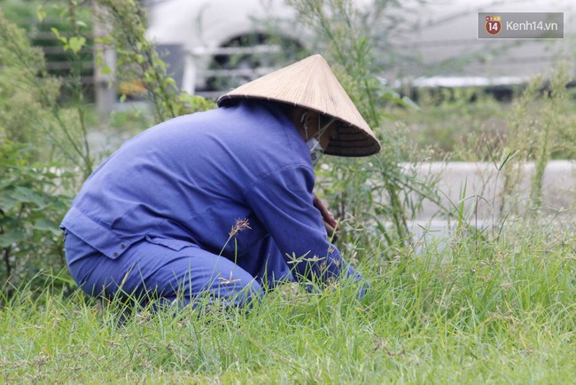 53 tỷ đồng tiền cắt cỏ 24km trên đại lộ Thăng Long được chi như thế nào? - Ảnh 11.