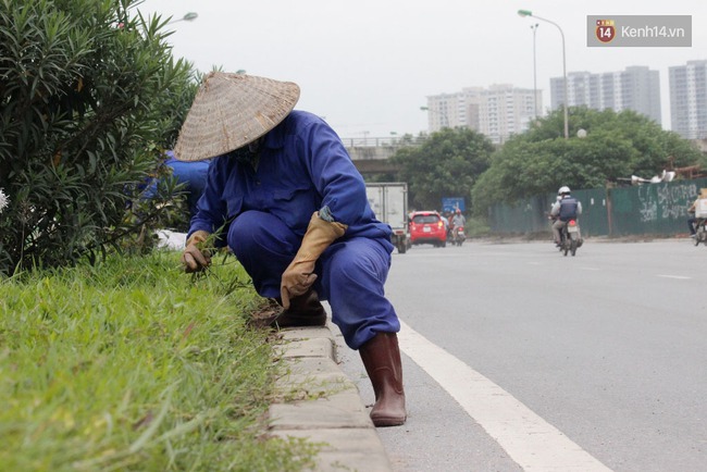 53 tỷ đồng tiền cắt cỏ 24km trên đại lộ Thăng Long được chi như thế nào? - Ảnh 7.