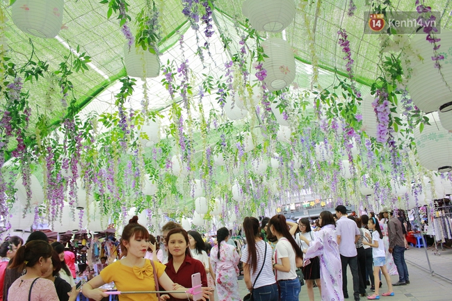 Lễ hội hoa tử đằng ở Hà Nội: Nỗi thất vọng khi thực tế khác xa hình ảnh quảng cáo - Ảnh 11.