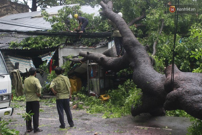 Mưa lớn khiến cổ thụ ở Sài Gòn bật gốc đè 3 căn nhà, cúp điện toàn khu vực - Ảnh 4.