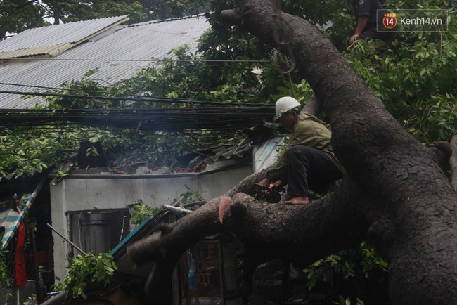 Mưa lớn khiến cổ thụ ở Sài Gòn bật gốc đè 3 căn nhà, cúp điện toàn khu vực - Ảnh 8.