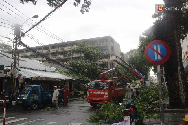 Mưa lớn khiến cổ thụ ở Sài Gòn bật gốc đè 3 căn nhà, cúp điện toàn khu vực - Ảnh 7.