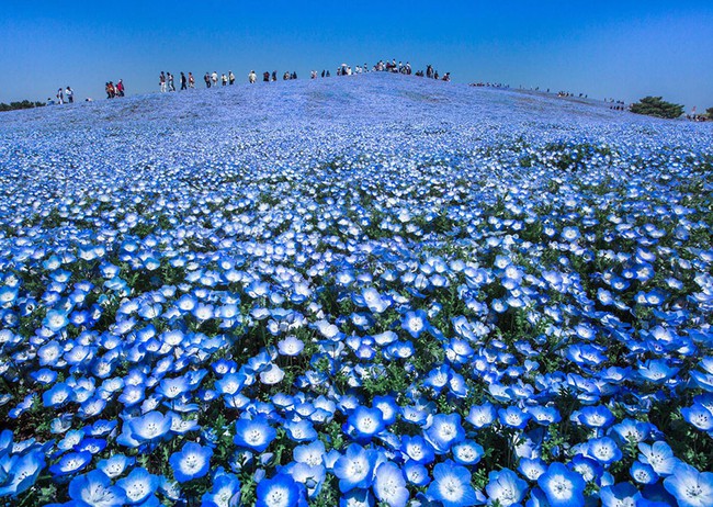 Những bức ảnh du lịch đẹp ngỡ ngàng trong cuộc thi ảnh National Geographic 2016 - Ảnh 9.