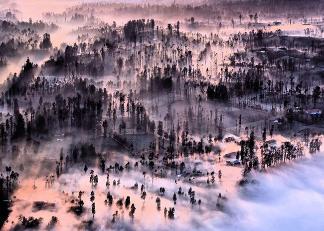 Những bức ảnh du lịch đẹp ngỡ ngàng trong cuộc thi ảnh National Geographic 2016 - Ảnh 6.