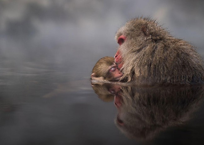 Những bức ảnh du lịch đẹp ngỡ ngàng trong cuộc thi ảnh National Geographic 2016 - Ảnh 15.