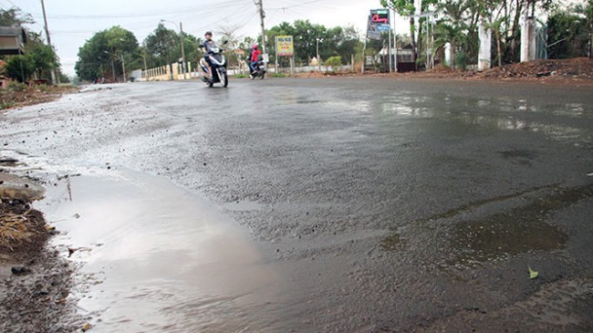 Mưa v&agrave;ng giải nhiệt B&igrave;nh Phước - Ảnh 1.