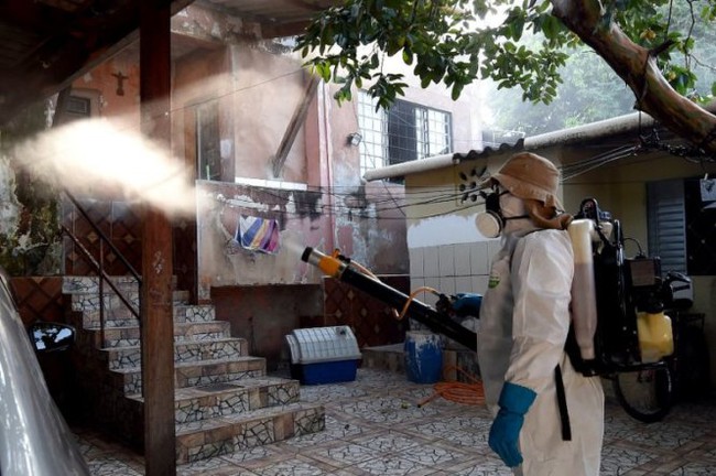 Brazil ghi nhận 91.000 ca nhiễm mới virút Zika - Ảnh 1.